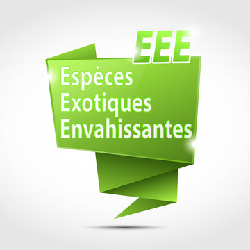 bulle origami acronyme : eee cs5