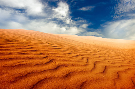 Sand dunes at sunset in the Sahara Desert