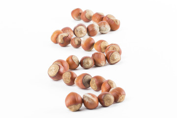 nuts on the white background