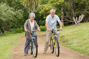 Fototapeta premium Senior couple on cycle ride in countryside