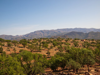 Panorama of mountains with trees and buildings