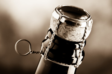 Sparkling wine cork Wine tasting concept
