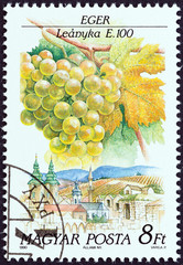 Leanyka grapes variety, Eger (Hungary 1990)