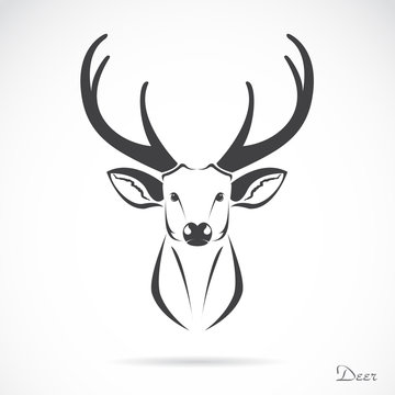 Vector of deer head design on white background. Animals. 