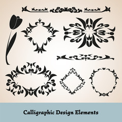 Set of vector graphic elements for design.Vector/ EPS 10