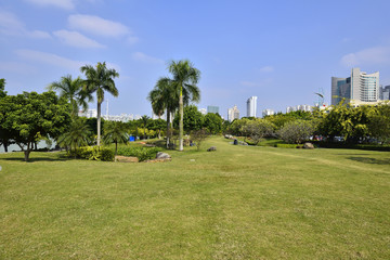 Park scenery