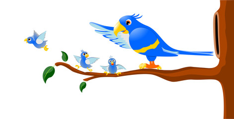 Obraz premium Blue Macaw Family