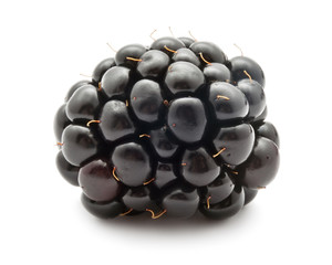 Blackberry