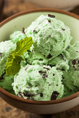 Organic Green Mint Chocolate Chip Ice Cream