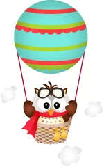 Afwasbaar behang Dieren in luchtballon Uil in een heteluchtballon