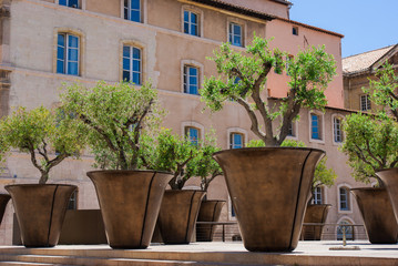 Überdimensionale Blumentöpfe