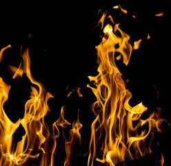 abstract background of fire flames on a black background