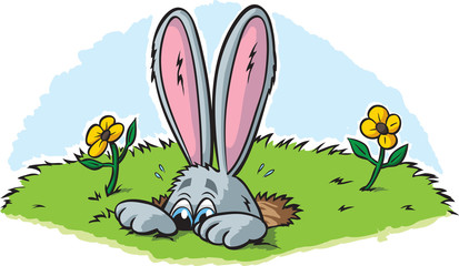 Fototapeta premium Hiding Rabbit