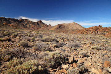 Fototapeta na wymiar Park Narodowy Teide.