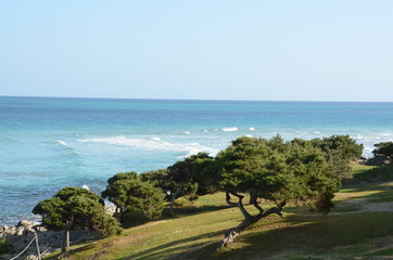 seaside garden at stintino, sardinia, italy