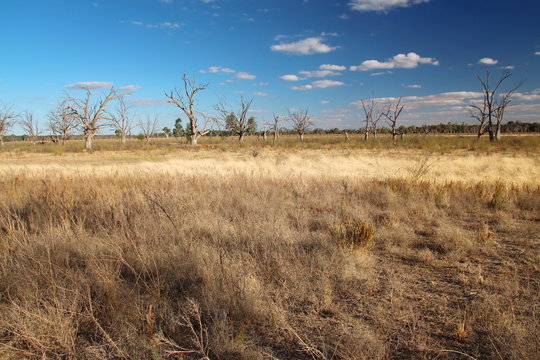 The Murray River Land