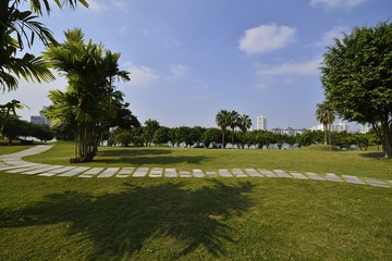 The park scenery