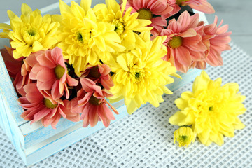 Beautiful flowers in basket, on light background