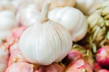 Garlic