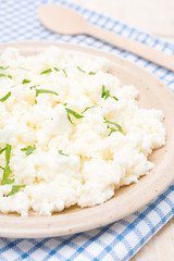 homemade cottage cheese with herbs on the plate