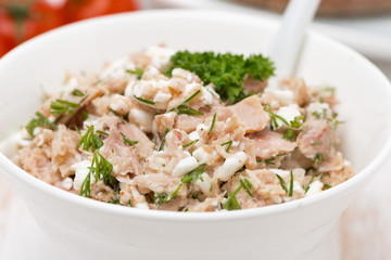 pate with tuna, homemade cheese and dill, close-up