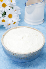 Fototapeta na wymiar thick homemade natural yoghurt and milk