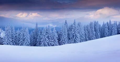 Panorama of the winter sunrise in the mountains