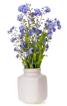 Spring blue mini flowers