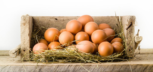 Chicken eggs in basket isolated. Organic food