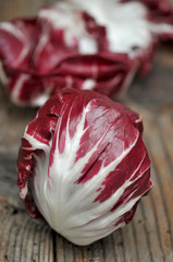 radicchio