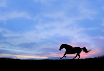 Horse running full gallop on sunset background Silhouette
