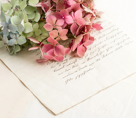 old love letters and garden flowers hydrangea