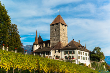 Fototapeta na wymiar Spiez Castle Jungfrau region, Canton Bern, Switzerland