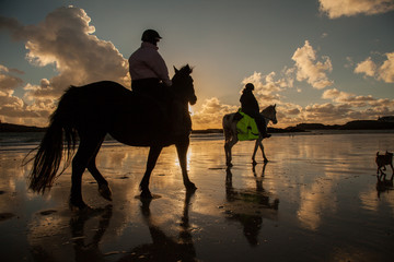 Horse riders at sunset