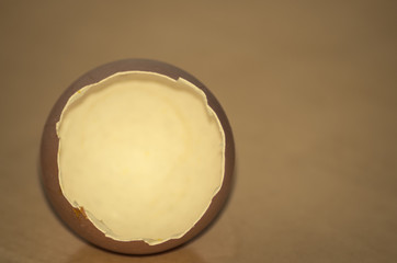 Eierschale