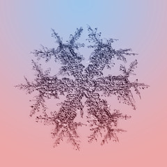 Snowflake