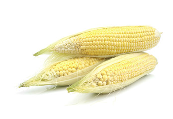 Corn cobs whit green leaves