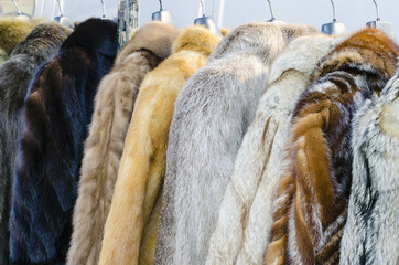 Row of coats made of animal fur