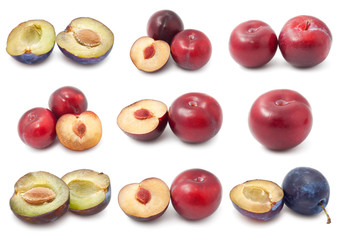 Plum