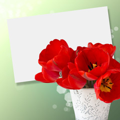 Fototapeta premium Postcard with elegant flowers tulips