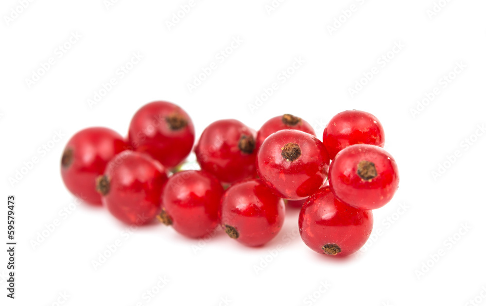 Wall mural currants isolated