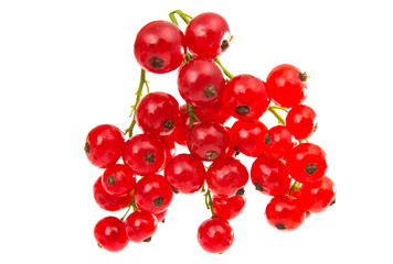 currants isolated