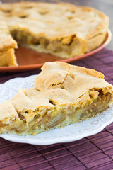 Slice of delicious fresh baked american apple pie on a plate