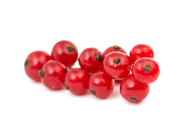 currants isolated