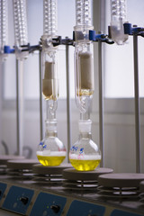 Fototapeta premium Test tubes in a laboratory