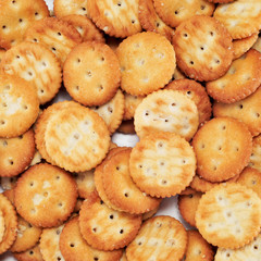 salty round crackers