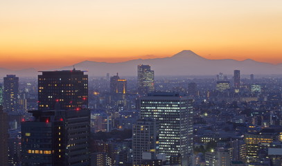 Tokyo city and Mt. Fuji in twilight
