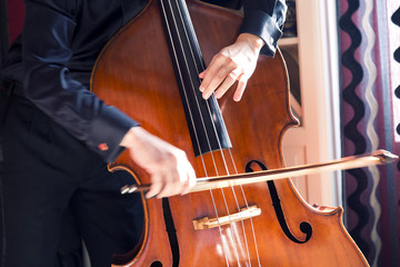 Fototapeta premium Double bass