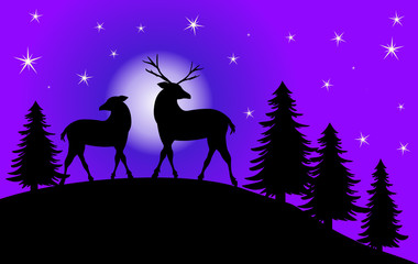 vollmondnacht mit rentieren