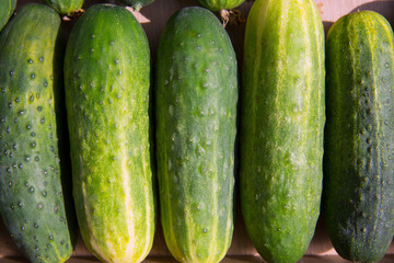 Cucumbers in a row at the market place